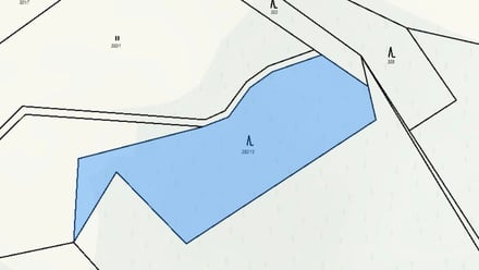 Prodej lesa 93 672 m², Štíty - Crhov