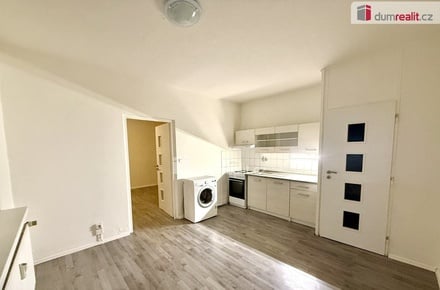 Pronájem bytu 1+1 36 m², Jílové