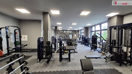 Prodej obchodního prostoru 245 m², Plzeň