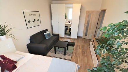 Pronájem bytu 1+1 40 m², Ostrava - Moravská Ostrava a Přívoz