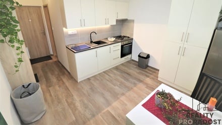 Pronájem bytu 1+1 40 m², Ostrava - Moravská Ostrava a Přívoz
