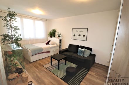 Pronájem bytu 1+1 40 m², Ostrava - Moravská Ostrava a Přívoz