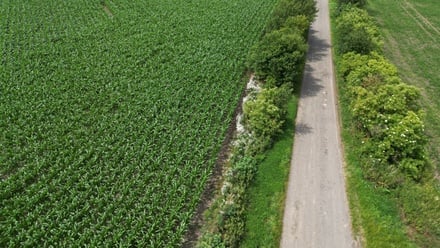 Prodej pole 8 491 m², Prostějov