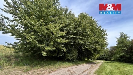 Prodej pole 10 932 m², Prostějov