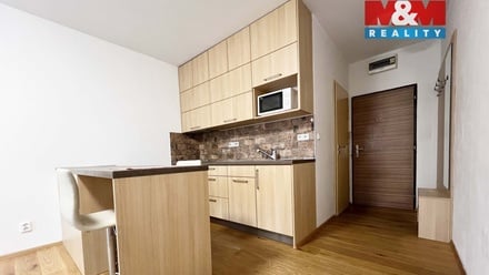 Pronájem bytu 1+kk 26 m², Strakonice
