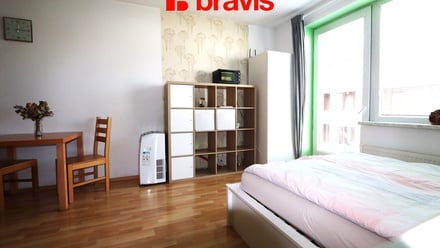 Pronájem bytu 1+kk 33 m², Brno - Starý Lískovec