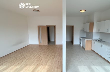 Pronájem bytu 1+1 46 m², Brno - Černá Pole