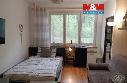 Pronájem bytu 1+kk 22 m², Třinec