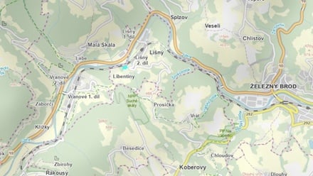 Prodej lesa 5 654 m², Líšný