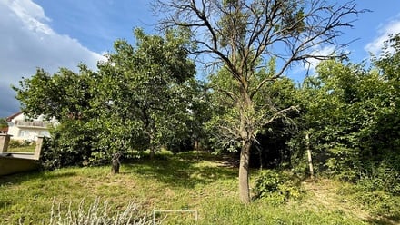 Prodej rodinného domu 377 m², Boleradice