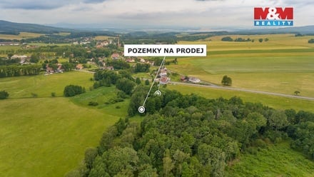 Prodej louky 4 178 m², Dětřichov