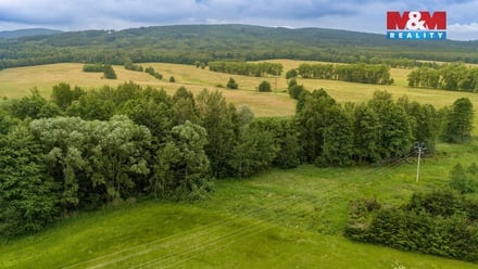 Prodej louky 4 178 m², Dětřichov