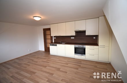Pronájem bytu 3+kk 61 m², Brno - Černovice