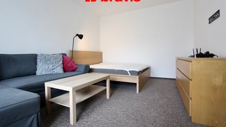 Pronájem bytu 1+1 36 m², Brno - Žabovřesky