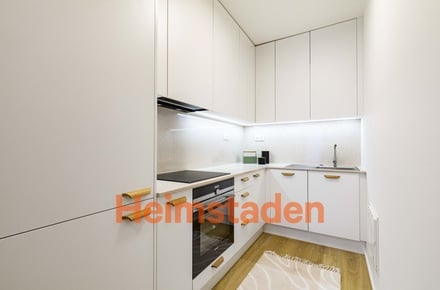 Pronájem bytu 2+1 35 m², Praha - Holešovice