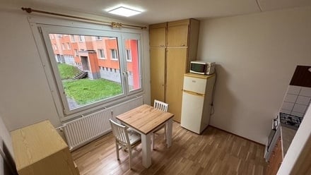 Pronájem bytu 1+1 40 m², Plzeň