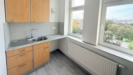 Pronájem bytu 1+1 36 m², Plzeň 2-Slovany