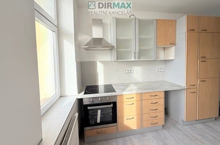 Pronájem bytu 1+1 36 m², Plzeň 2-Slovany