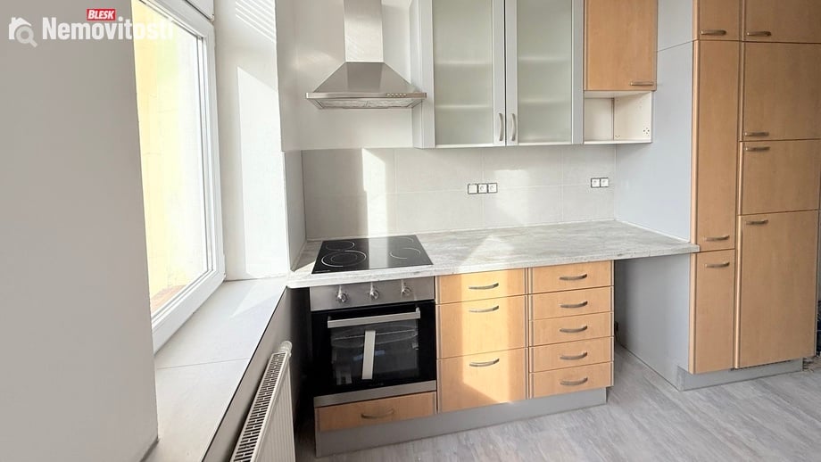 Pronájem bytu 1+1 36 m², Plzeň 2-Slovany