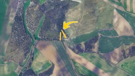 Prodej sadu / vinice 1 184 m², Borkovany