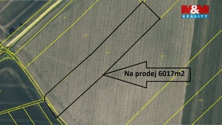 Prodej pole 6 017 m², Provodov-Šonov