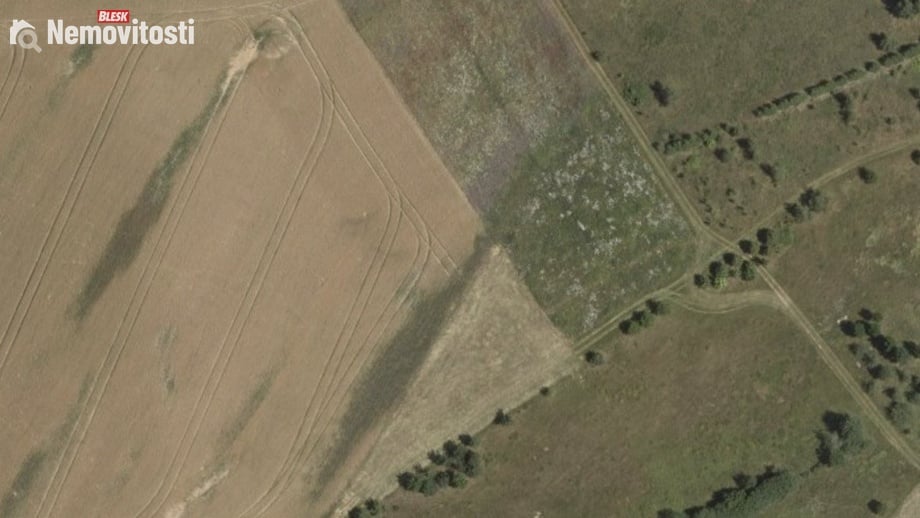 Prodej pole 7 249 m², Brodek u Konice