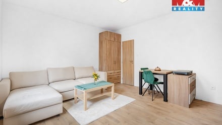 Pronájem bytu 1+kk 30 m², Plazy