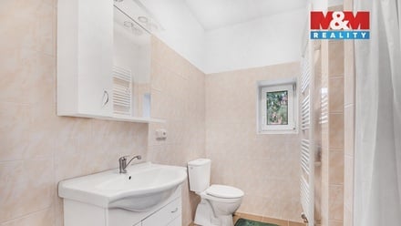 Pronájem bytu 1+kk 30 m², Plazy