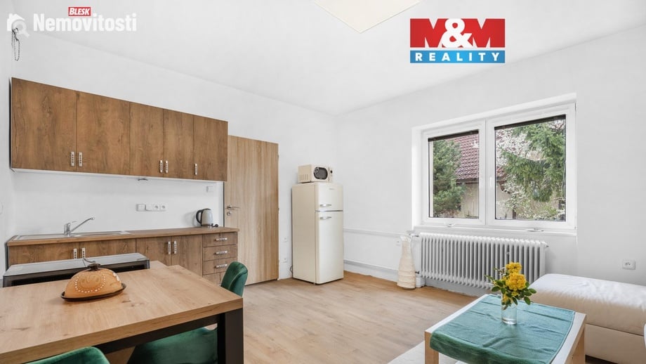 Pronájem bytu 1+kk 30 m², Plazy