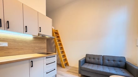 Pronájem bytu 1+kk 16 m², Kroměříž