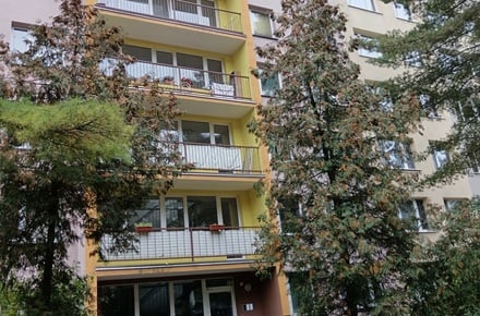 Prodej bytu 1+kk 27 m², Praha - Prosek