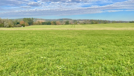 Prodej pole 2 723 m², Nová Ves u Světlé