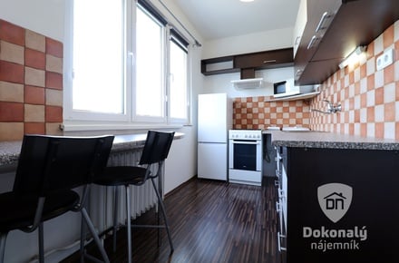 Pronájem bytu 2+1 54 m², Kladno - Kročehlavy