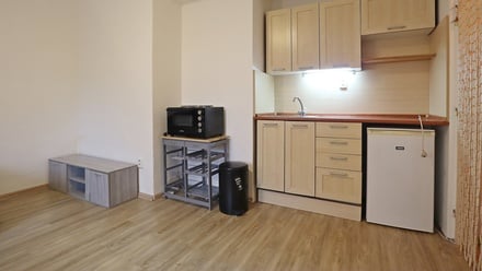 Pronájem bytu 1+kk 25 m², Brno - Židenice