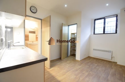 Pronájem bytu 1+kk 10 m², Praha - Hostivař