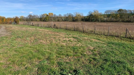 Prodej zahrady 4 800 m², Holubice