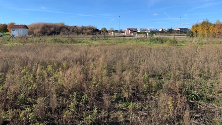 Prodej zahrady 4 800 m², Holubice