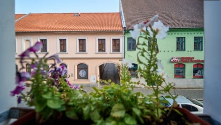 Prodej rodinného domu 300 m², Žatec