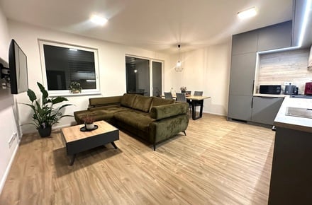 Pronájem bytu 3+kk 75 m², Liberec XII-Staré Pavlovice