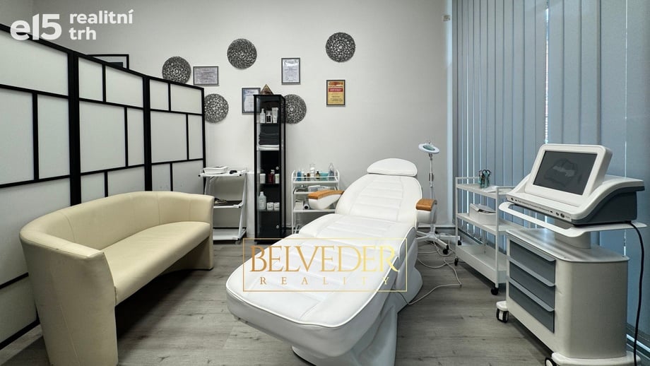 Pronájem obchodního prostoru 50 m², Teplice