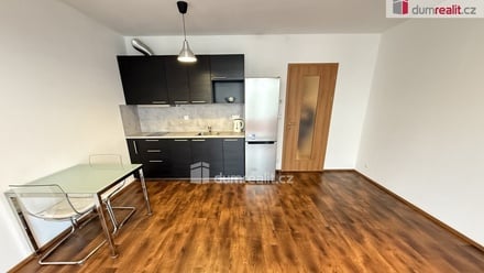 Pronájem bytu 1+kk 33 m², Praha-Řeporyje