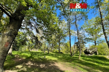 Prodej lesa 3 719 m², Petrovice