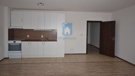 Pronájem bytu 2+kk 65 m², Plzeň 2-Slovany