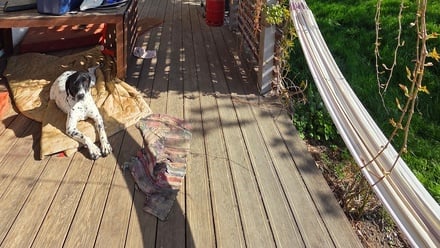 Pronájem byty 20 m², Nezvěstice