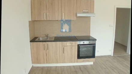 Pronájem bytu 1+kk 71 m², Plzeň 2-Slovany