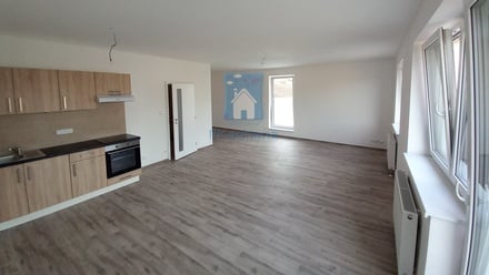 Pronájem bytu 1+kk 71 m², Plzeň 2-Slovany