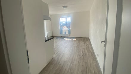 Pronájem bytu 2+kk 78 m², Plzeň 2-Slovany