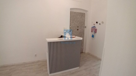 Pronájem ostatní 45 m², Plzeň 3