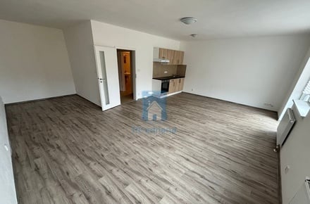 Pronájem bytu 1+kk 54 m², Plzeň 2-Slovany