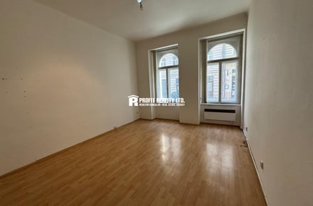 Pronájem bytu 1+1 48 m², Praha - Nové Město